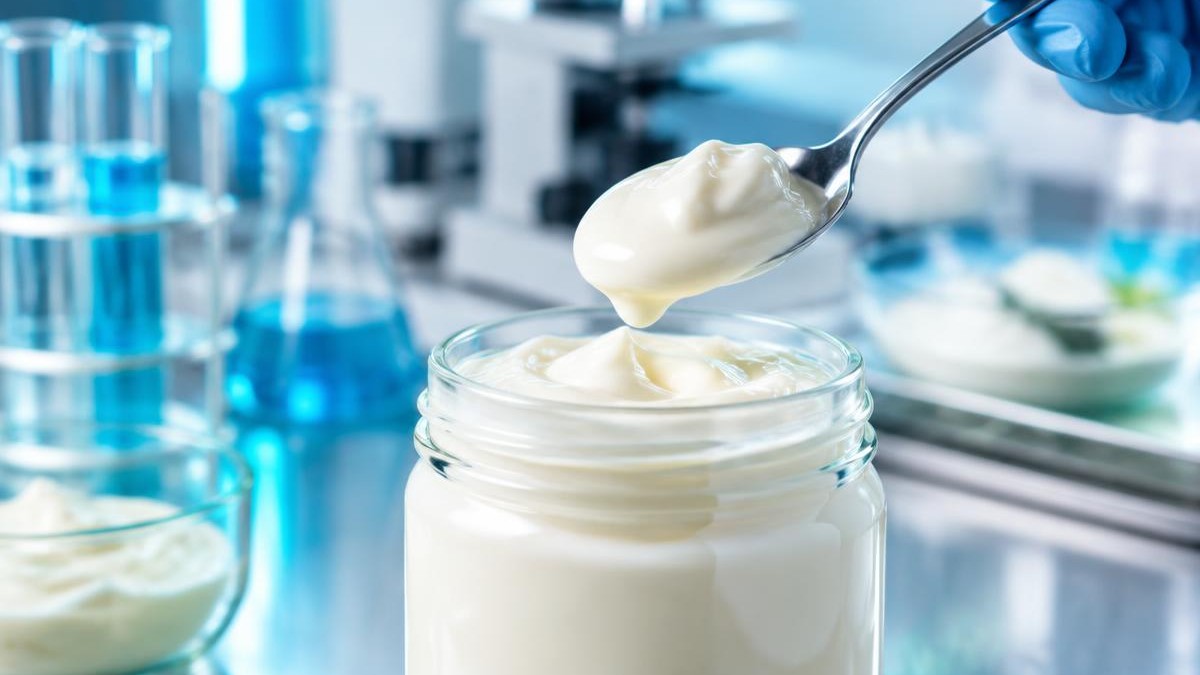 Low-Fat Mayonnaise Formulations: Creamy Mouthfeel with Natural Hydrocolloids