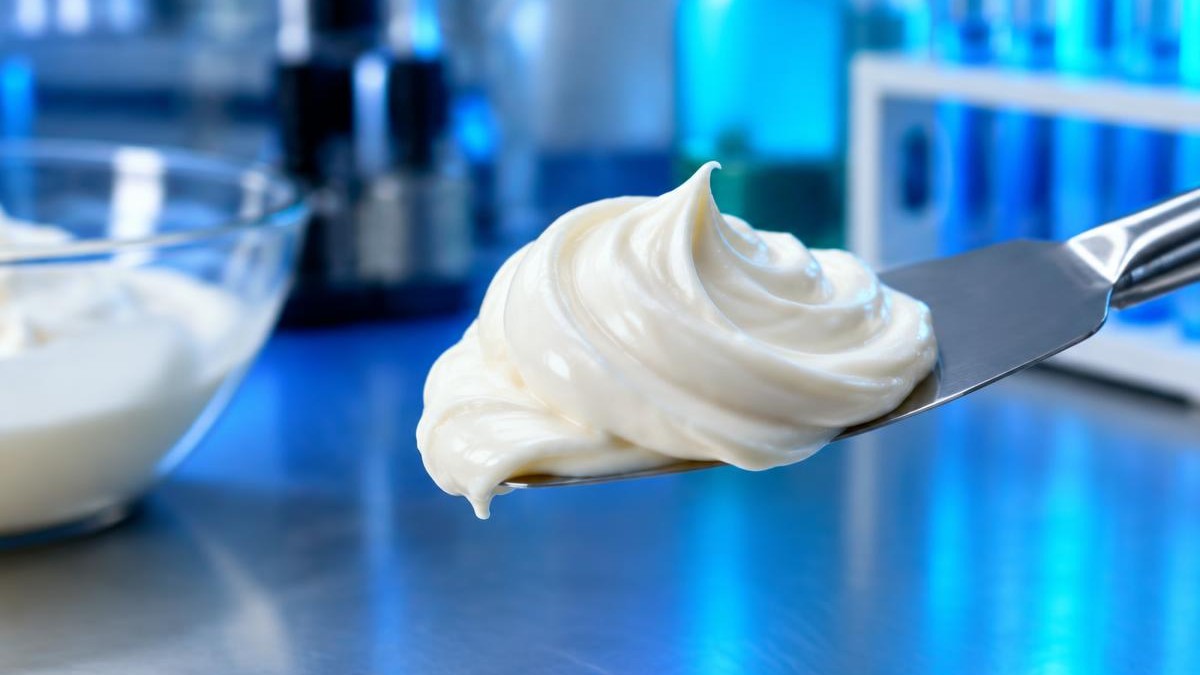 low-fat mayonnaise Guar Gum B D Guar emulsion texture